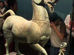 -广西壮族自治区博物馆