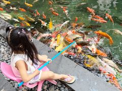 -三亚湾海居雅高铂尔曼度假酒店
