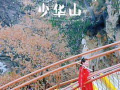 -少华山国家森林公园