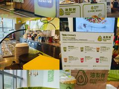-油梨树AVOCADO TREE(望京店)