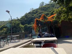 -鲤鱼塘农家山庄