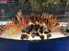 -亚龙湾希尔顿自助餐厅·海鲜·烧烤·沙滩BBQ·现场乐队