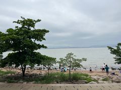 -深圳湾公园(南山区)
