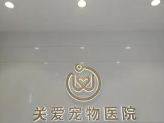 -关爱宠物医院·猫科中心·消化科(滨湖万达分院)