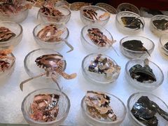 -半岛翡丽海鲜自助餐厅(观风亭店)