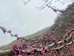 -西安祥峪森林公园