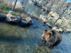 -北京野生动物园