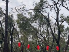 -东湖落雁景区