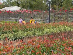 -季高兔窝窝亲子园(上海薰衣草公园店)