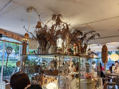 -野草莓自由市场