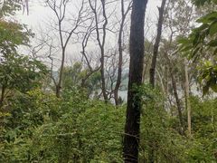 -三门江国家森林公园