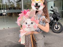 -北京盈之宝宝马4S店(望京店)