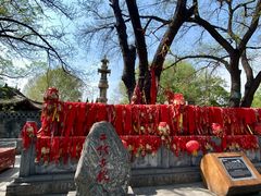 -大槐树寻根祭祖园