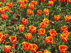 -长春公园(普阳街道)