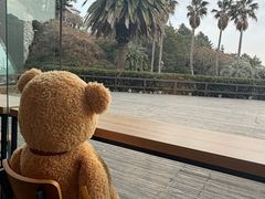 -济州岛泰迪熊博物馆