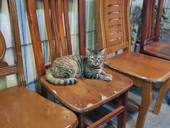 -华哥新鲜猪精品美食
