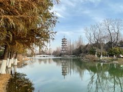 -桃花岛公园