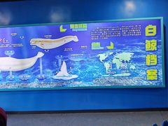 -海合安武汉极地海洋公园