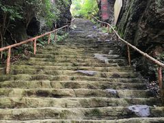 -天女山森林公园