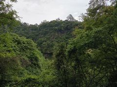 -黄山翡翠谷景区