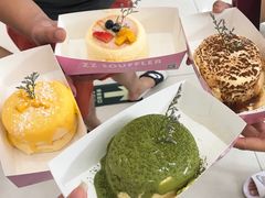 -狐狸和向日葵(北京路店)