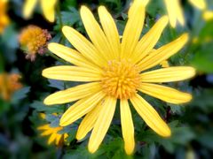 -眉山湿地公园(东坡区)