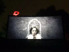 -枫花园汽车电影院(朝阳公园店)