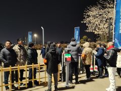 -日照灯塔风景区