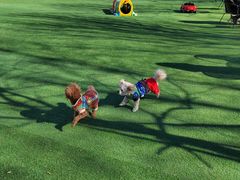 -宠乐会宠物乐园