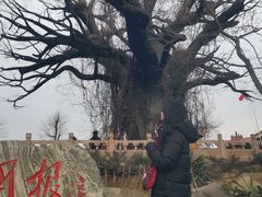 -大槐树寻根祭祖园
