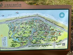 -上海滨江森林公园
