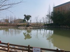 -田园东方蜜桃村的田野营地