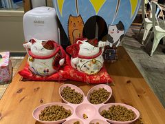 -小时光咖啡馆(开森度假森林店)