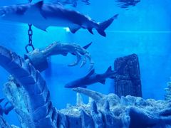 -波塞冬旅游度假区