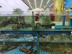 -南湾海鲜餐厅(南澳海鲜街店)
