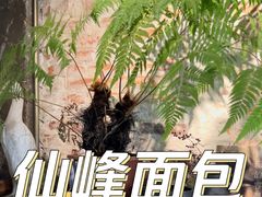 -仙峰天然面包(迎宾路店)