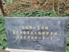 -马王堆汉墓遗址