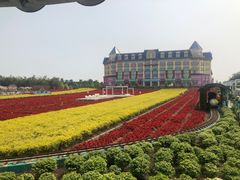 -百万葵园