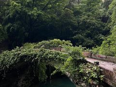 -雁荡山风景名胜区