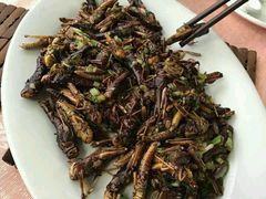 -天强农家菜馆