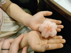 -新概念来凤鱼(璧山店)