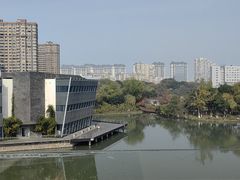 -青枫公园