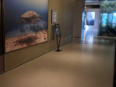 -城际上海虹桥机场酒店