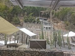 -MOJ coffee(瓯海泽雅水碓坑店)