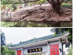-晓港公园