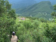 -白草畔自然风景区