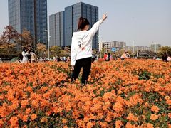 -映月湖中央公园