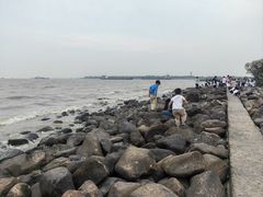 -吴淞炮台湾湿地森林公园烧烤区