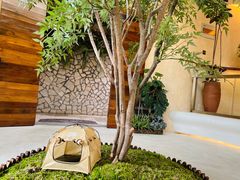 -帐篷客·溪龙茶谷度假酒店