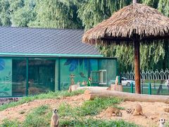 -秦皇岛野生动物园